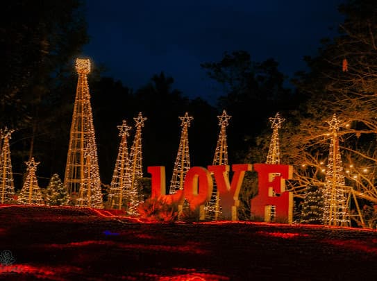 Jardin de Ysabelle 1